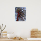 Pine mit Red Trunk Poster (Küche)