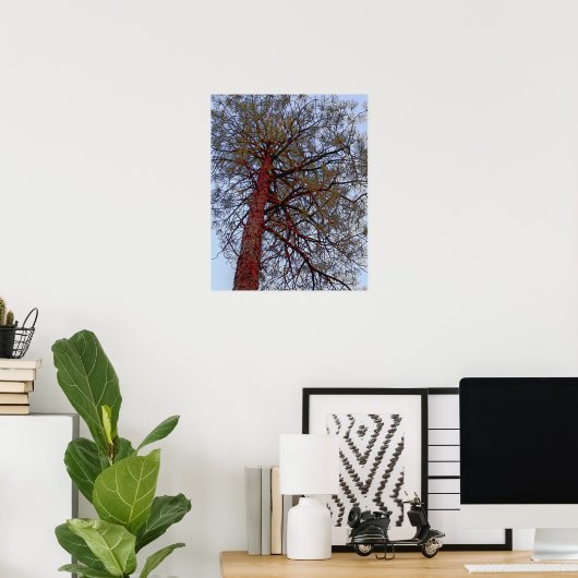 Pine mit Red Trunk Poster (Heimbüro)