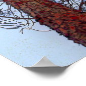 Pine mit Red Trunk Poster (Ecke)