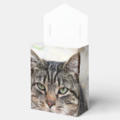 Pine Needles Fvor Box Geschenkschachtel (Geöffnet)