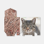 Pine Needles Fvor Box Geschenkschachtel (Ungefaltet)