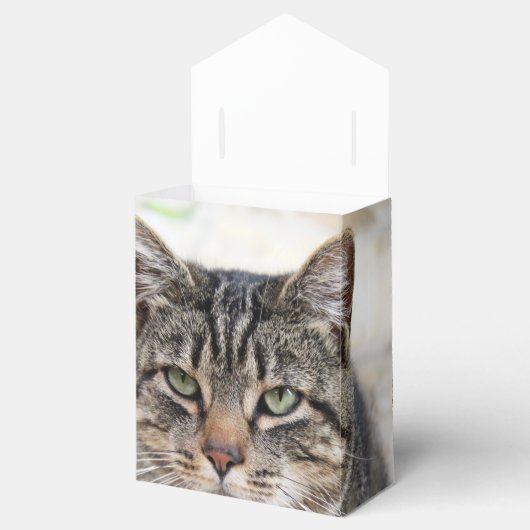 Pine Needles Fvor Box Geschenkschachtel (Geöffnet)