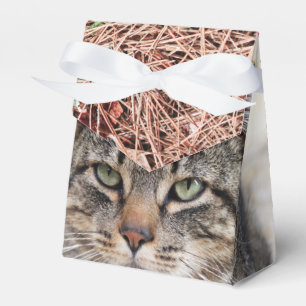 Pine Needles Fvor Box Geschenkschachtel