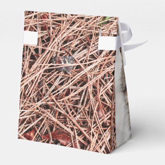 Pine Needles Fvor Box Geschenkschachtel (Rückseite)