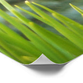 Pine Needles Poster (Ecke)