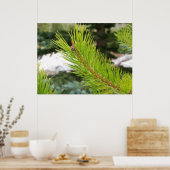 Pine Needles Poster (Küche)