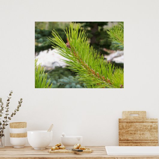 Pine Needles Poster (Küche)