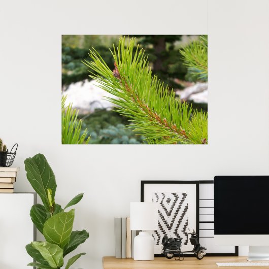 Pine Needles Poster (Heimbüro)