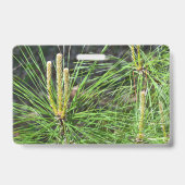 Pine Needles von Kenneth Yoncich Ausweis (Rückseite)