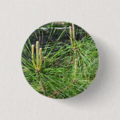 Pine Needles von Kenneth Yoncich Button (Vorderseite)