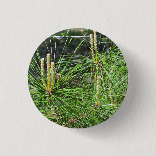Pine Needles von Kenneth Yoncich Button