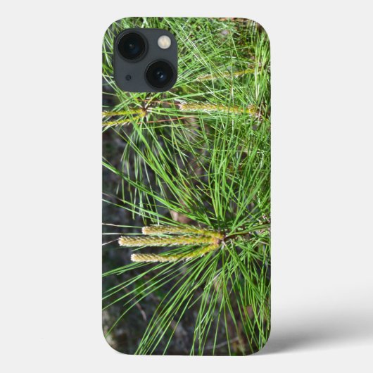 Pine Needles von Kenneth Yoncich Case-Mate iPhone Hülle (Rückseite)