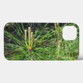 Pine Needles von Kenneth Yoncich Case-Mate iPhone Hülle (Rückseite (Horizontal))