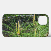 Pine Needles von Kenneth Yoncich Case-Mate iPhone Hülle (Rückseite (Horizontal))