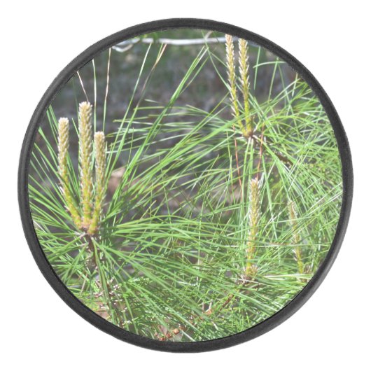 Pine Needles von Kenneth Yoncich Eishockey Puck (Vorderseite)