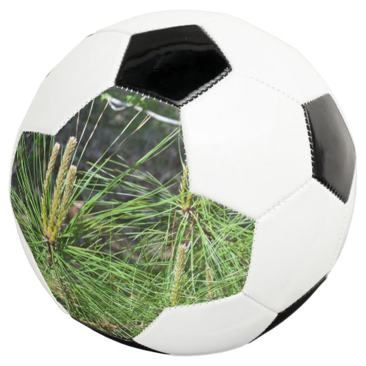 Pine Needles von Kenneth Yoncich Fußball (Dreiviertel)