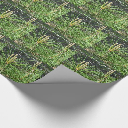 Pine Needles von Kenneth Yoncich Geschenkpapier (Ecke)