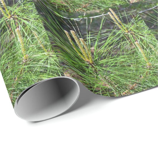 Pine Needles von Kenneth Yoncich Geschenkpapier (Rolleneckpunkt)