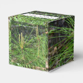 Pine Needles von Kenneth Yoncich Geschenkschachtel (Rückseite)