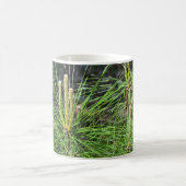 Pine Needles von Kenneth Yoncich Kaffeetasse (Mittel)