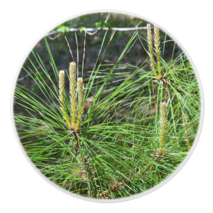 Pine Needles von Kenneth Yoncich Keramikknauf