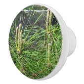 Pine Needles von Kenneth Yoncich Keramikknauf (Rechts)