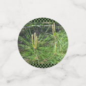 Pine Needles von Kenneth Yoncich Konfetti (Klein Vorderseite)