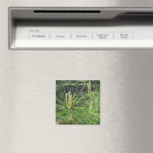 Pine Needles von Kenneth Yoncich Magnet (In Situ (Geschirrspüler))