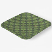 Pine Needles von Kenneth Yoncich Pappteller (Gewinkelt)