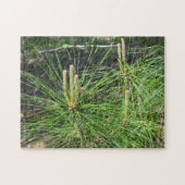 Pine Needles von Kenneth Yoncich Puzzle (Horizontal)