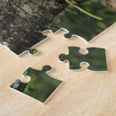 Pine Pink, Bletia purpurea, blühend auf Mango Puzzle (Seite)