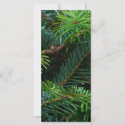 Pine/Red Bow Elegante Prägung Weihnachten (Rückseite)