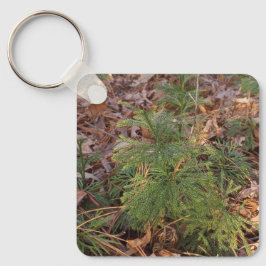 Pine Sapling Keychain Nature-Inspired Gift Schlüsselanhänger