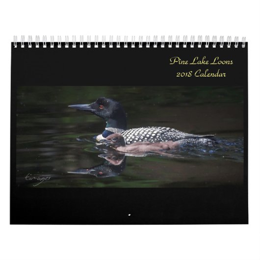 Pine Seeloon-Kalender 2018 Kalender (Titelbild)