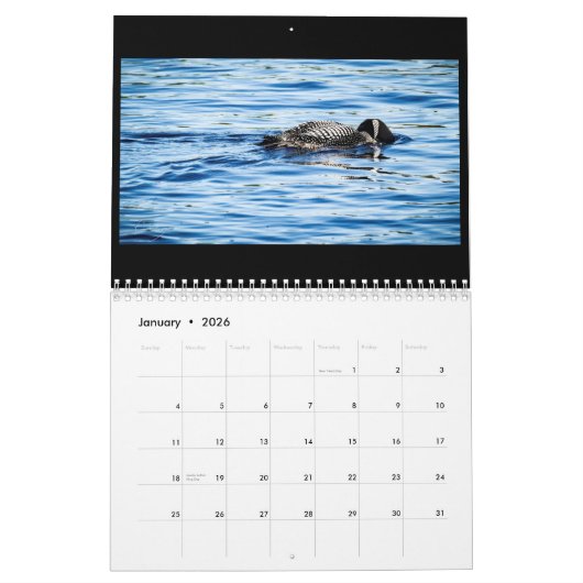 Pine Seeloon-Kalender 2018 Kalender (Jan 2026)