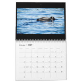 Pine Seeloon-Kalender 2018 Kalender (Jan 2027)