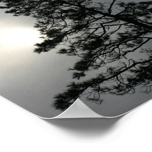 Pine Silhouette Cloudy Sun Fotografy Poster (Ecke)
