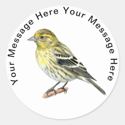 Pine-Siskin-Aufkleber Runder Aufkleber (Vorderseite)