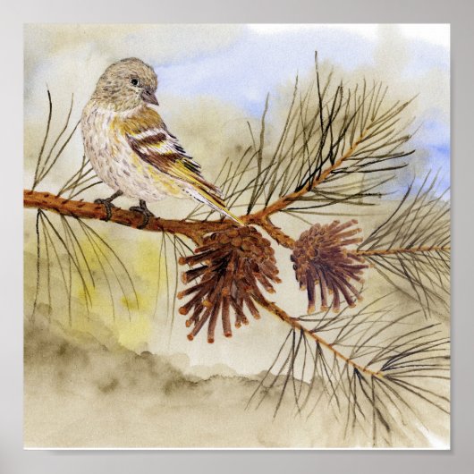 Pine Siskin Canvas Print Poster (Vorne)