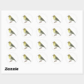 Pine Siskin Songbird Stickers (Blatt)