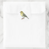 Pine Siskin Songbird Stickers (Tasche)