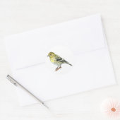 Pine Siskin Songbird Stickers (Umschlag)