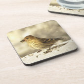 Pine Siskin Untersetzer (Linke Seite)