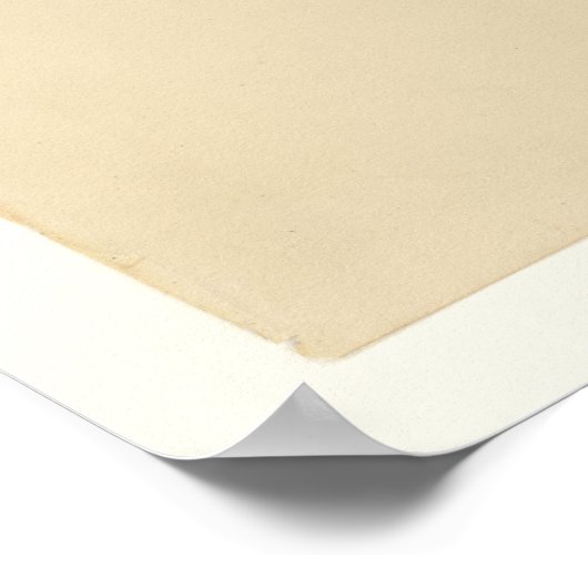 Pine Swamp Warbler Poster (Ecke)