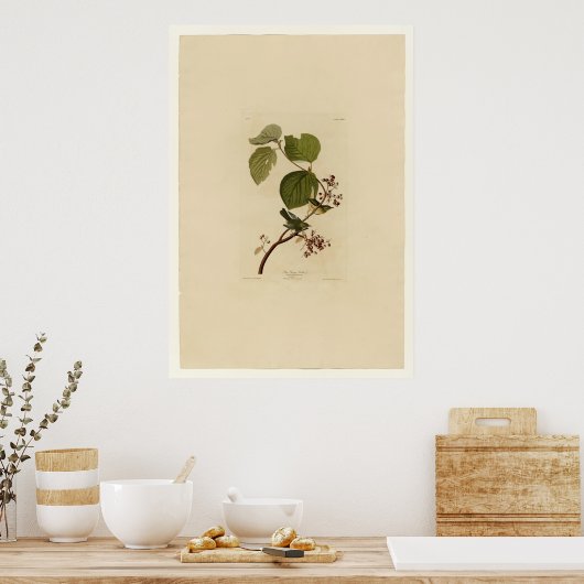 Pine Swamp Warbler Poster (Küche)