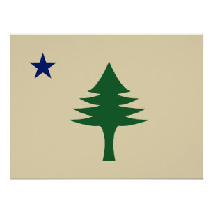 Pine tree and star 1901 Fahne des Maine-Staat Poster