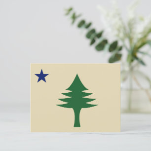 Pine tree and star 1901 Fahne des Maine-Staat Postkarte