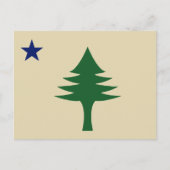 Pine tree and star 1901 Fahne des Maine-Staat Postkarte (Vorderseite)