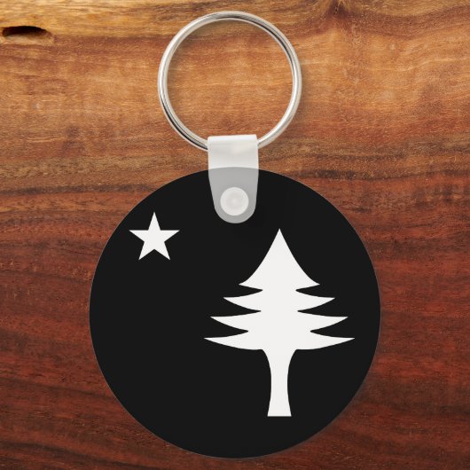 Pine tree and star 1901 Fahne des Maine-Staat Schlüsselanhänger (Vorderseite)