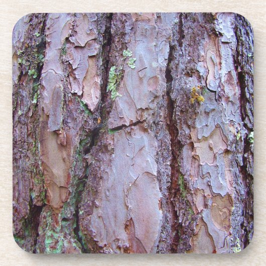 Pine Tree Bark Hard Plastic Untersetzer (Vorderseite)